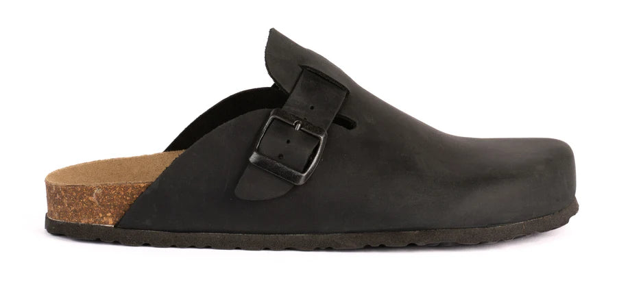 Boston in pelle